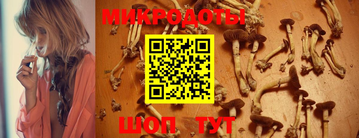 Псилоцибиновые грибы Cubensis Звенигород